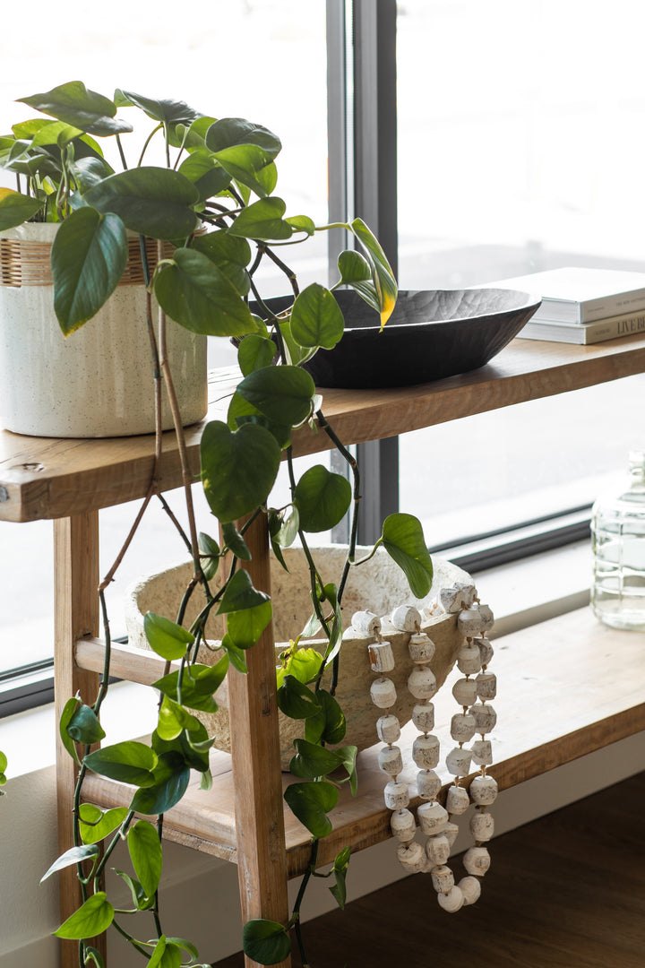 Indoor plant on a wooden shelf console with a modern interior setting