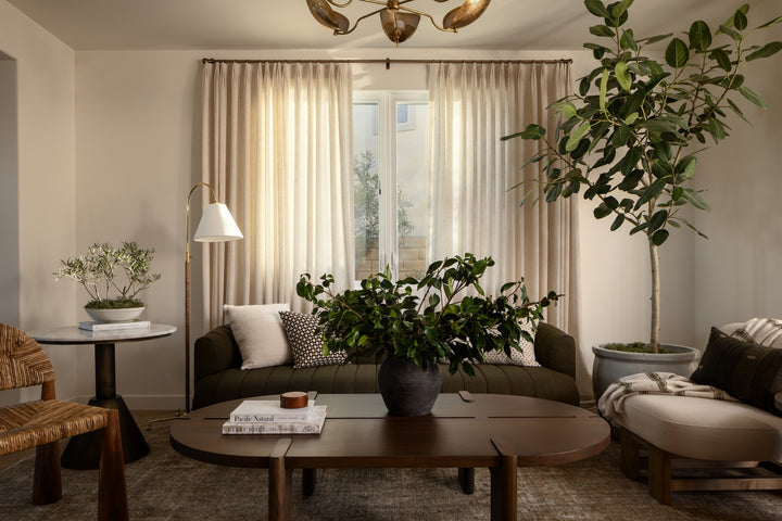 Living room with a couch, coffee table, and decorative plants, and vintage turkish rug.